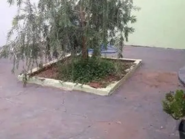 Imagem 5: Vendo Ótima Casa em Nova Carapina II