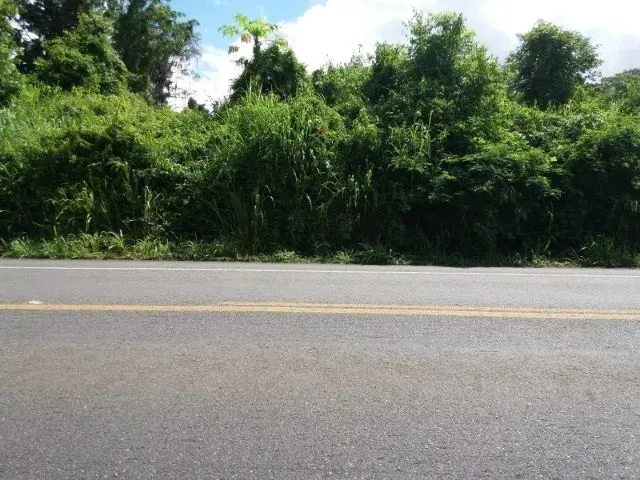 Imagem 5: Área Rural de 4 Hectares na Br 101, 27 Km de Itabuna e 10 de Uruçuca