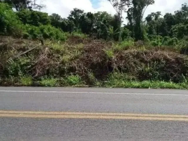 Imagem 3: Área Rural de 4 Hectares na Br 101, 27 Km de Itabuna e 10 de Uruçuca