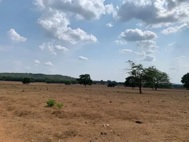 Imagem: A fazenda possui 2.800.000m² de Área e está localizado