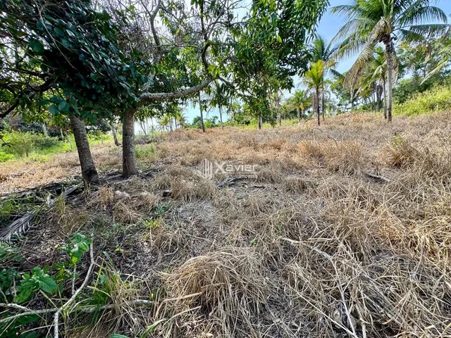Imagem 7: Terreno à venda com 1.000 m² em Andana Guarapari/ES, próximo à BR-101 e Praia do