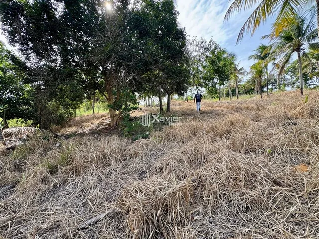Imagem 4: Terreno à venda com 1.000 m² em Andana Guarapari/ES, próximo à BR-101 e Praia do
