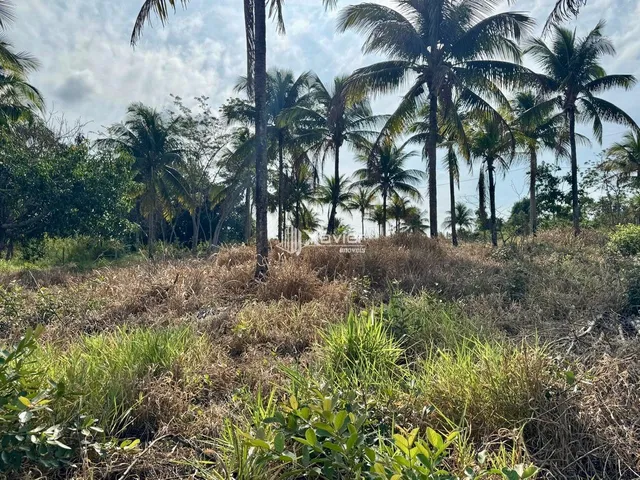 Imagem 10: Terreno à venda com 1.000 m² em Andana Guarapari/ES, próximo à BR-101 e Praia do