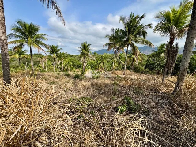 Imagem 15: Terreno à venda com 1.000 m² em Andana Guarapari/ES, próximo à BR-101 e Praia do