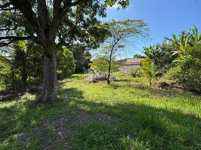 Imagem 4: Terreno à Venda com 2.200 m² em Jabaraí Guarapari ES com Lagoa, Árvores Frutíferas e