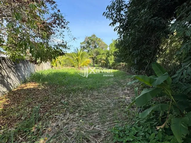Imagem 10: Terreno à Venda com 2.200 m² em Jabaraí Guarapari ES com Lagoa, Árvores Frutíferas e