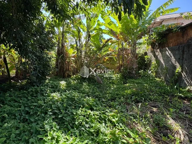 Imagem 16: Terreno à Venda com 2.200 m² em Jabaraí Guarapari ES com Lagoa, Árvores Frutíferas e