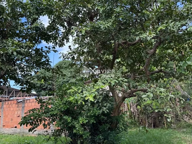 Imagem 9: Terreno à Venda com 2.200 m² em Jabaraí Guarapari ES com Lagoa, Árvores Frutíferas e