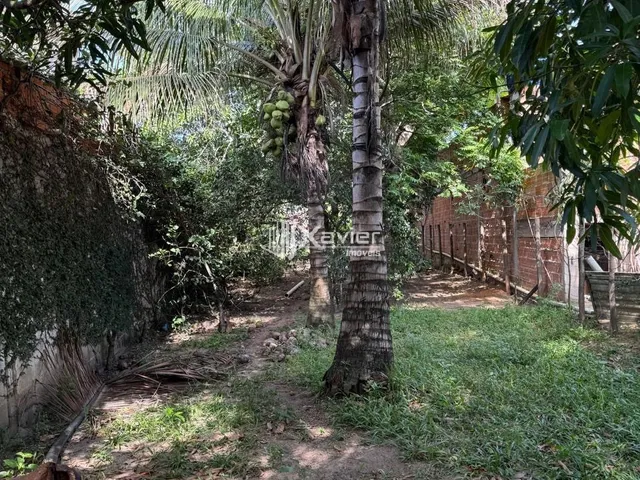 Imagem 6: Terreno à Venda com 2.200 m² em Jabaraí Guarapari ES com Lagoa, Árvores Frutíferas e