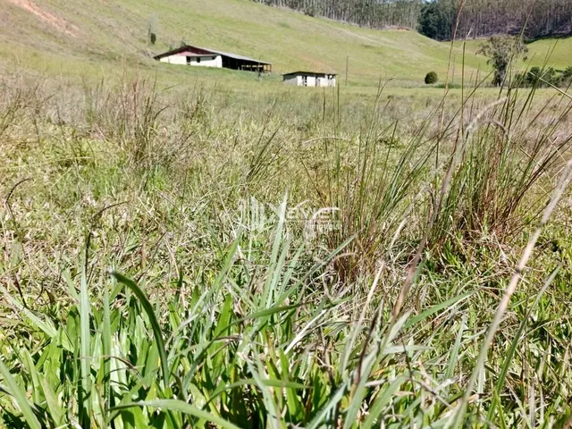Imagem 15: Fazenda com 12 Alqueires à Venda em Alfredo Chaves/ES - Água Abundante, Eucalipto e