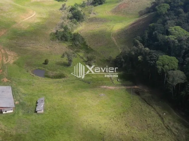 Imagem 5: Fazenda com 12 Alqueires à Venda em Alfredo Chaves/ES - Água Abundante, Eucalipto e