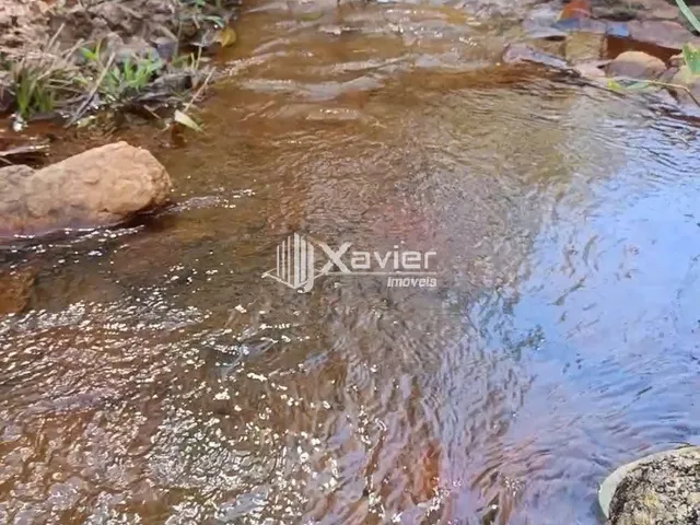 Imagem 12: Fazenda com 12 Alqueires à Venda em Alfredo Chaves/ES - Água Abundante, Eucalipto e