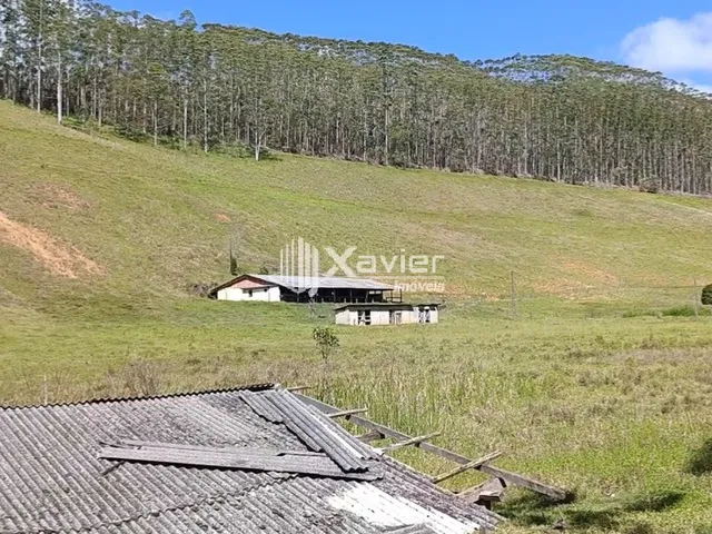 Imagem 2: Fazenda com 12 Alqueires à Venda em Alfredo Chaves/ES - Água Abundante, Eucalipto e