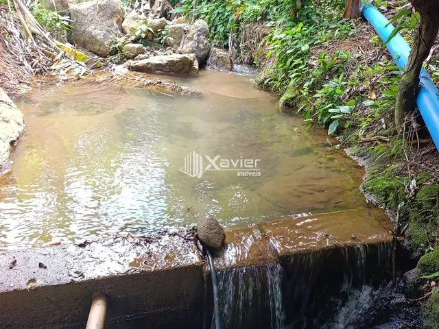 Imagem 13: Terreno rural de 1 alqueire à venda em Alto Pongal Anchieta ES com café banana córrego
