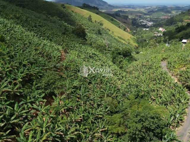 Imagem 14: Terreno rural de 1 alqueire à venda em Alto Pongal Anchieta ES com café banana córrego
