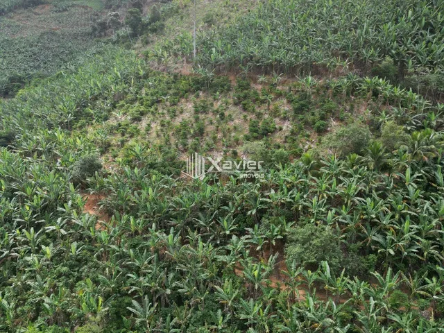 Imagem 3: Terreno rural de 1 alqueire à venda em Alto Pongal Anchieta ES com café banana córrego