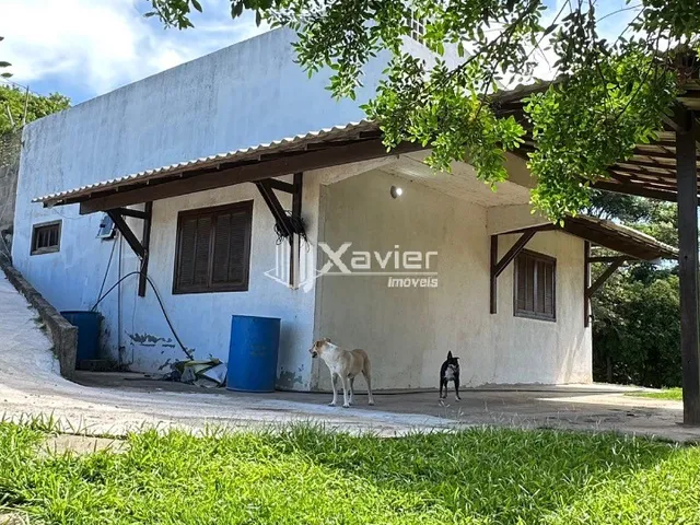 Imagem 4: Chácara escriturada com 2.500 m², pomar e casa aconchegante no Retiro do Congo em Vila