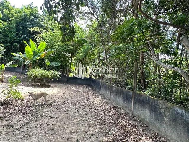Imagem 9: Chácara escriturada com 2.500 m², pomar e casa aconchegante no Retiro do Congo em Vila
