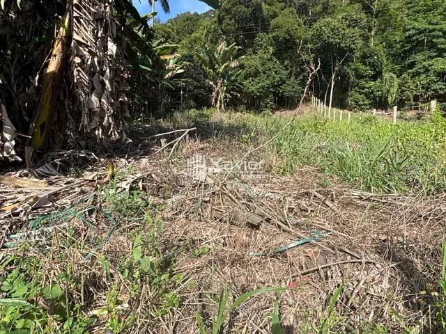 Imagem 16: Terreno 1.275m² em Buenos Aires - Guarapari/ES, acesso asfaltado, região valorizada