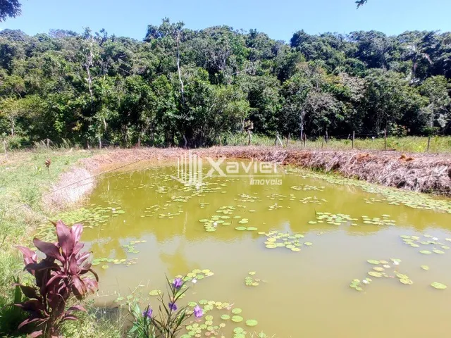 Imagem 2: Terreno 1.500m² à venda em Nova Guarapari ES, lagoa na propriedade, próximo à Praia