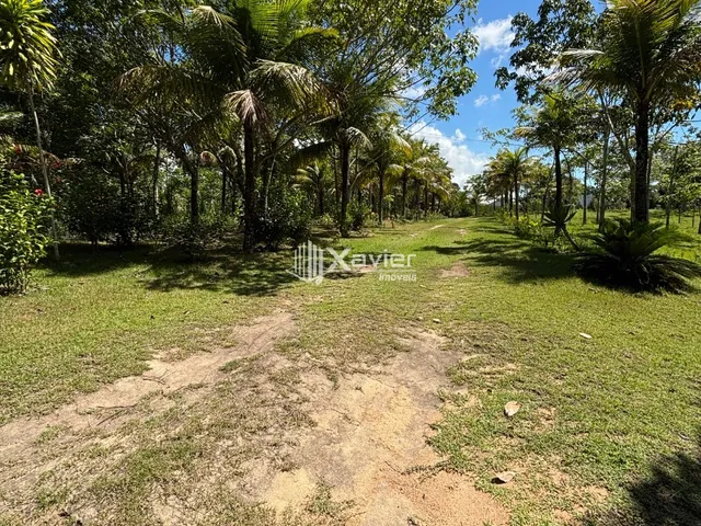 Imagem 13: Sítio de 3 Alqueires com 3 Casas, Piscina, Curral, Rio Una e Excelente Estrutura Rural