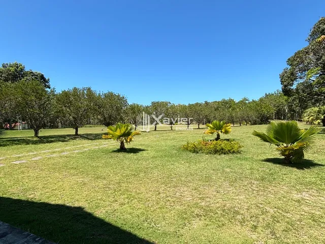 Imagem 16: Sítio de 3 Alqueires com 3 Casas, Piscina, Curral, Rio Una e Excelente Estrutura Rural
