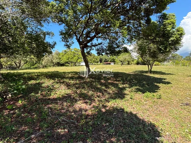 Imagem 6: Sítio de 3 Alqueires com 3 Casas, Piscina, Curral, Rio Una e Excelente Estrutura Rural