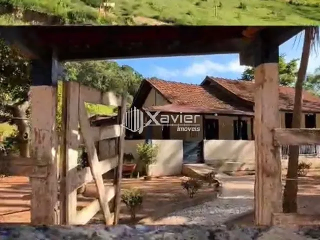 Imagem 14: Sítio Produtivo à Venda em Afonso Cláudio/ES - 4,85 Alqueires (234.740 m²) com