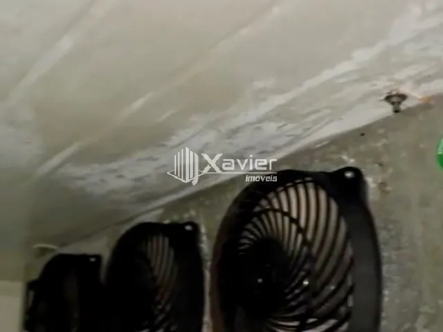 Imagem 9: Sítio Produtivo à Venda em Afonso Cláudio/ES - 4,85 Alqueires (234.740 m²) com