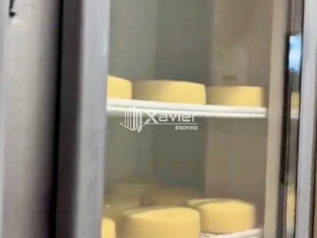 Imagem 10: Sítio Produtivo à Venda em Afonso Cláudio/ES - 4,85 Alqueires (234.740 m²) com