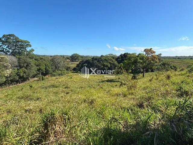 Imagem 9: Terreno com 36.000 m² à Venda em Jaboticaba, Guarapari - Área com Rio, Mata Preservada