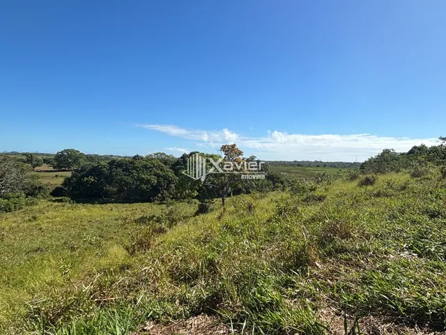 Imagem 5: Terreno com 36.000 m² à Venda em Jaboticaba, Guarapari - Área com Rio, Mata Preservada