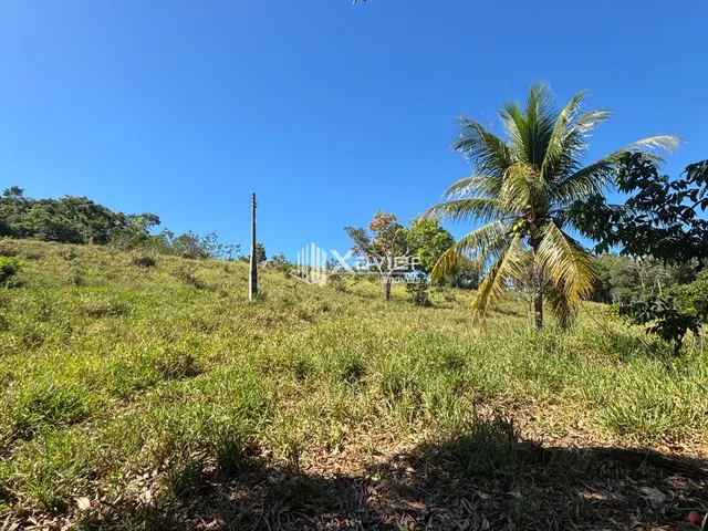 Imagem 10: Terreno com 36.000 m² à Venda em Jaboticaba, Guarapari - Área com Rio, Mata Preservada