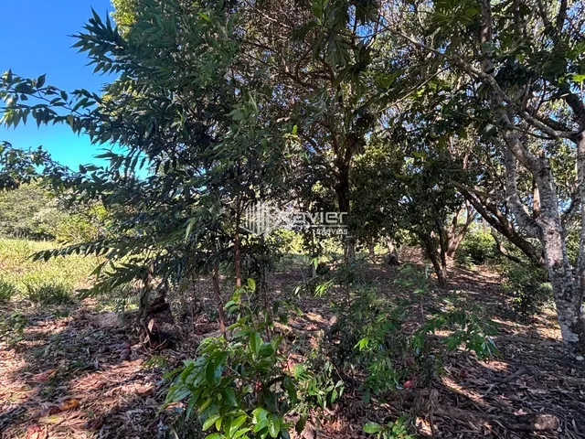 Imagem 3: Terreno com 36.000 m² à Venda em Jaboticaba, Guarapari - Área com Rio, Mata Preservada
