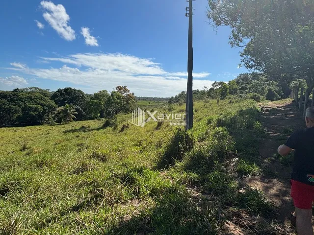 Imagem 7: Terreno com 36.000 m² à Venda em Jaboticaba, Guarapari - Área com Rio, Mata Preservada