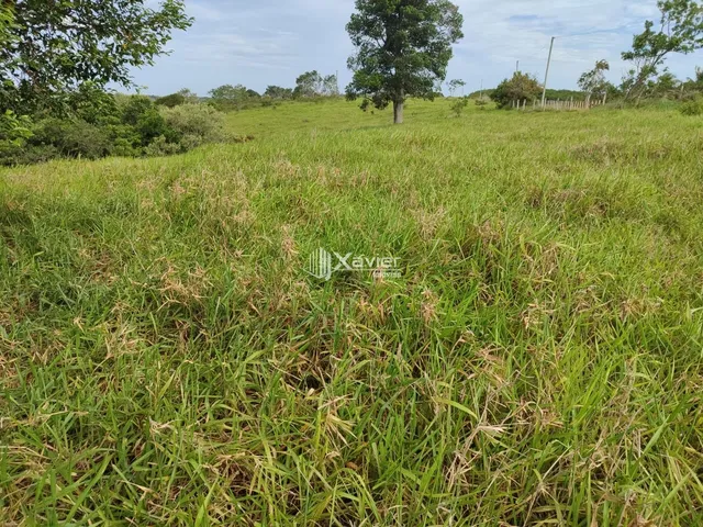 Imagem 4: Terreno de 80.000 m² em Guarapari-ES com Vista para o Mar, Excelente Topografia e