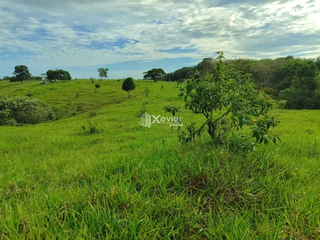 Imagem 15: Terreno de 80.000 m² em Guarapari-ES com Vista para o Mar, Excelente Topografia e