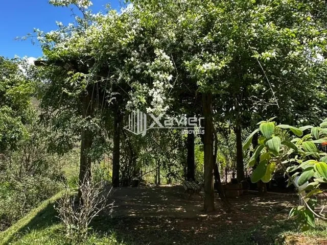 Imagem 11: Chácara 12.000 m² à Venda em Marechal Floriano - Casa 5 Quartos, Piscina e Lazer