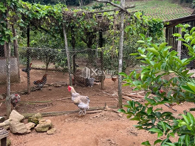 Imagem 8: Sítio com 32.000 m², nascente, represa e casa em Panelas - Domingos Martins/ES