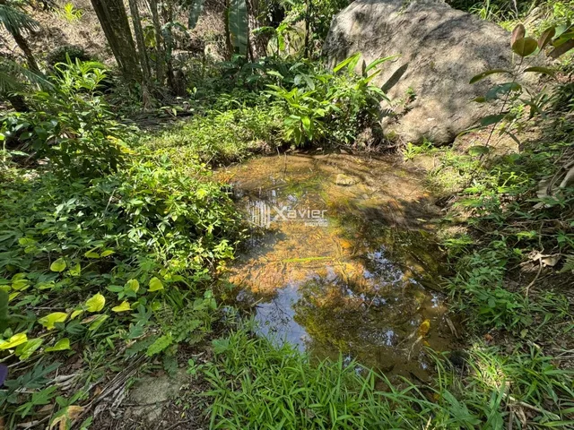 Imagem: Terreno à Venda em Buenos Aires, Guarapari