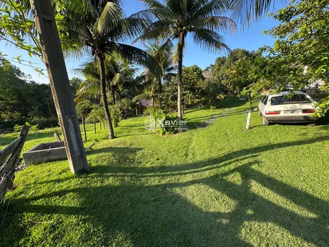 Imagem 16: Chácara 6.500 m² com Piscina, Sauna e Estrutura para Cavalos em Jaboticaba