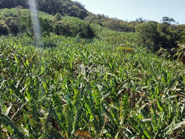 Imagem: Terreno de 2 alqueires à Venda em Laje