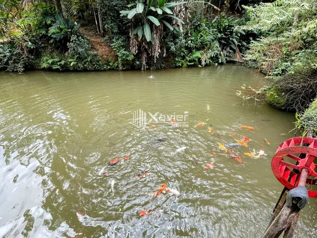 Imagem 2: Sítio com 31.500 m² à venda em Marechal Floriano-ES - Casa, nascente, tanques, estufa