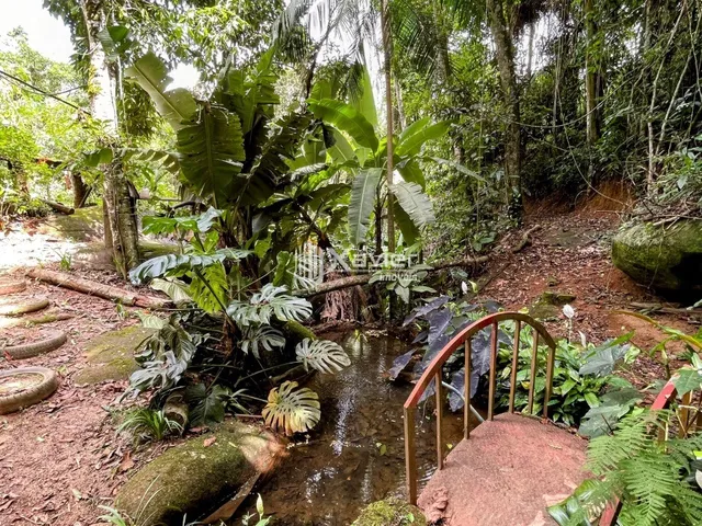 Imagem 4: Sítio com 31.500 m² à venda em Marechal Floriano-ES - Casa, nascente, tanques, estufa