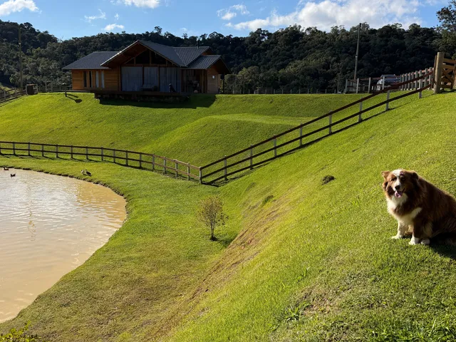 Imagem 10: Sítio Alto Padrão em Rancho Queimado