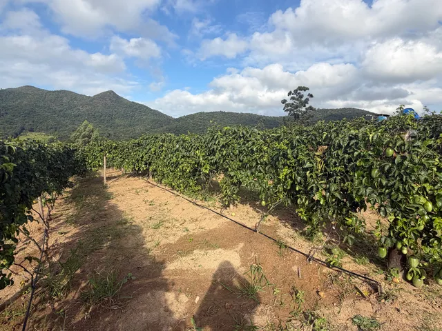 Imagem 5: Sítio com vista panorama e vista mar em Tijucas