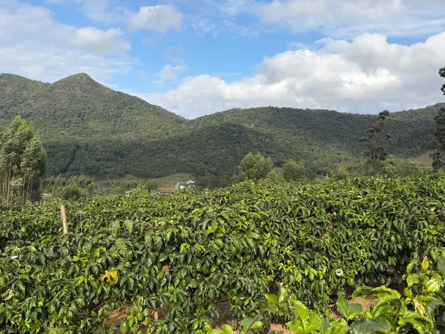 Imagem 6: Sítio com vista panorama e vista mar em Tijucas