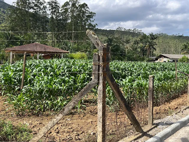 Imagem: Terreno Rural emTijucas