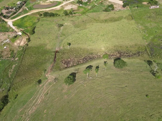 Imagem 2: Terreno rural com pastagem em Tijucas