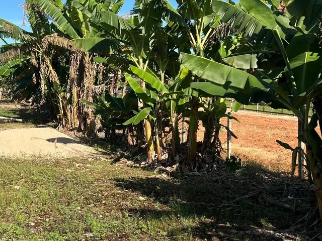 Imagem 10: Sítio à venda em Tijucas